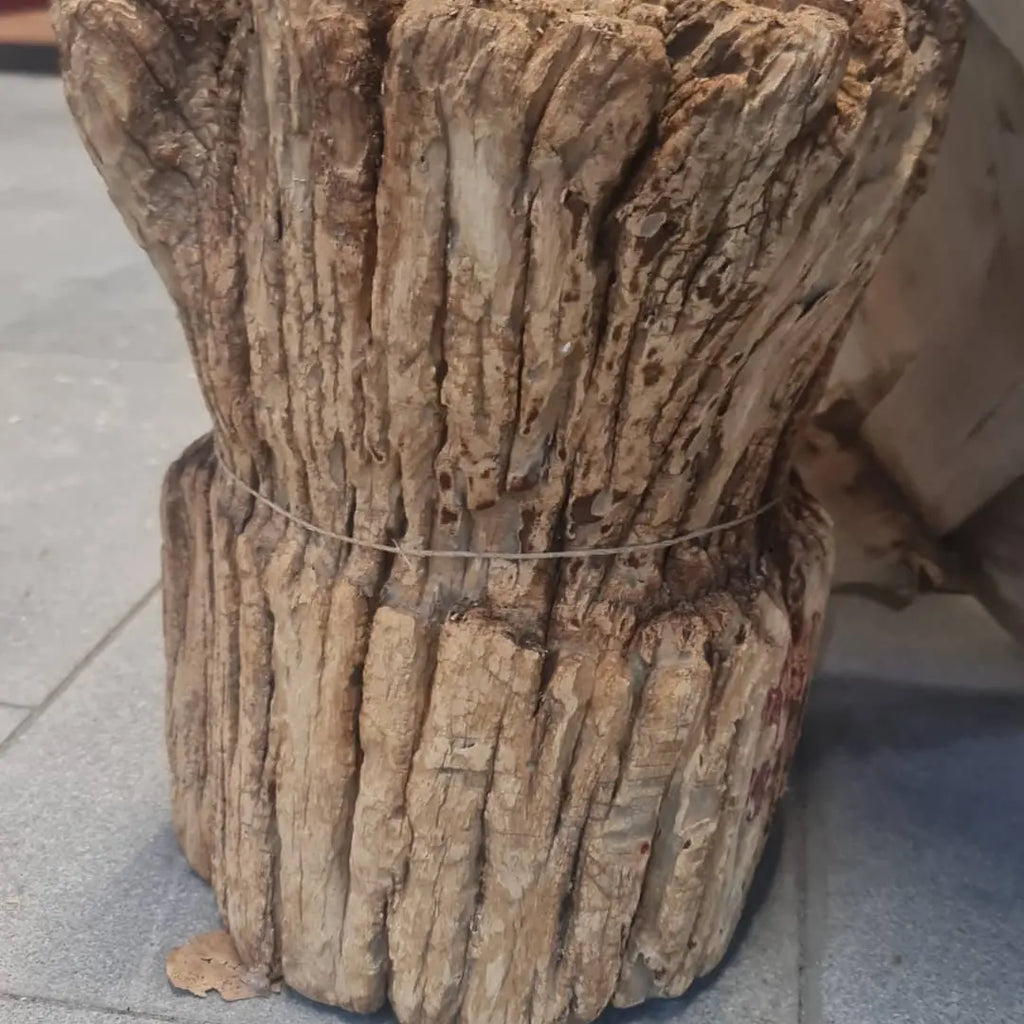 בול עץ עתיק
