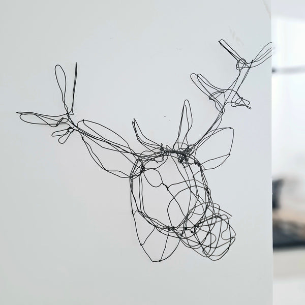 רישום בחוטי ברזל אייל