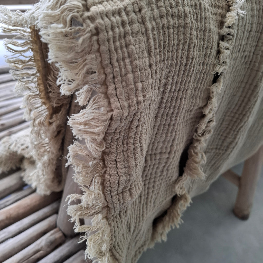 כרבולית טטרא חול