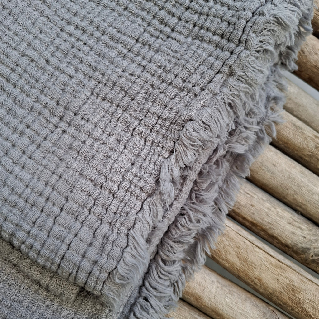 כרבולית טטרא אפור