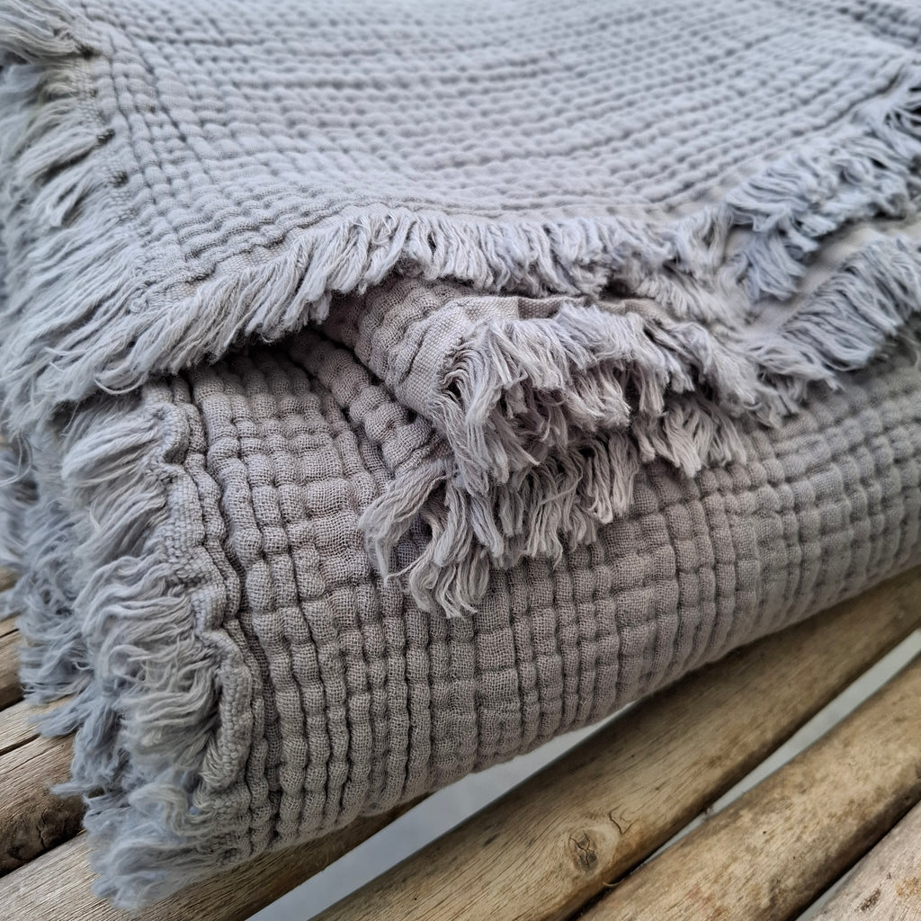 כרבולית טטרא אפור