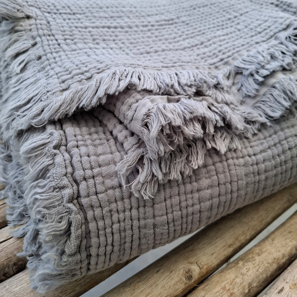 כרבולית טטרא אפור