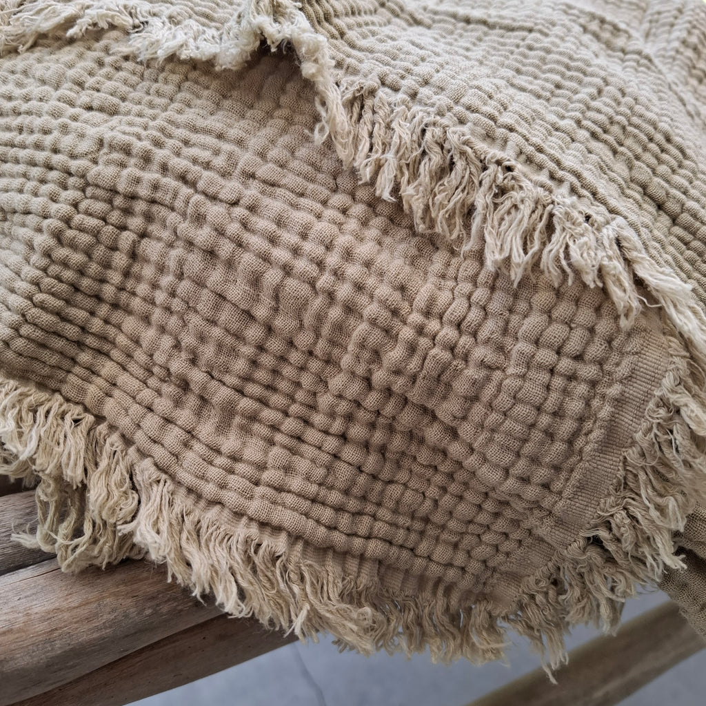 כרבולית טטרא חול