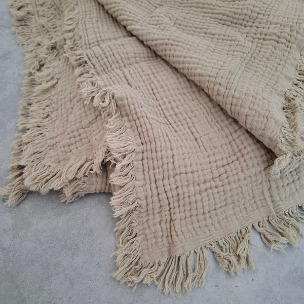 כרבולית טטרא חול