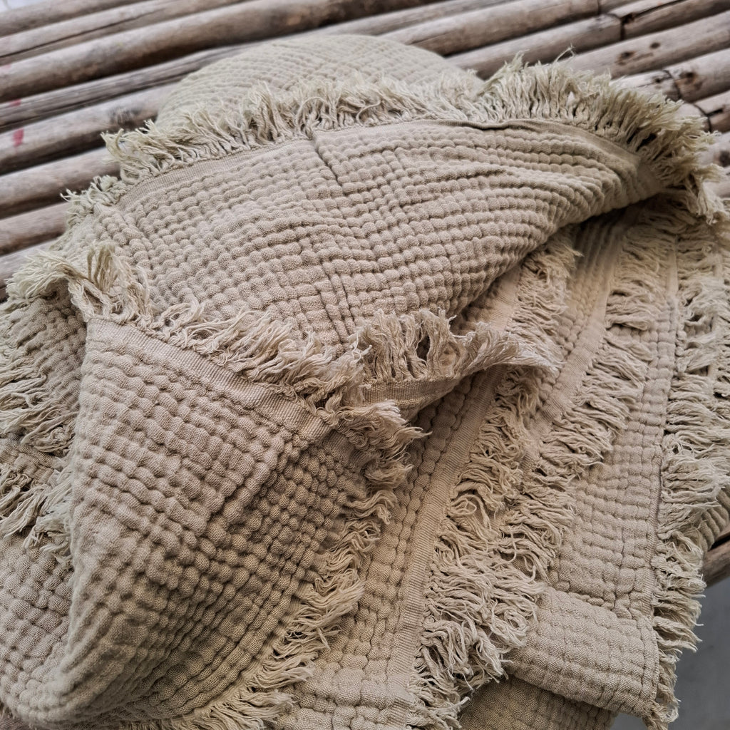 כרבולית טטרא חול