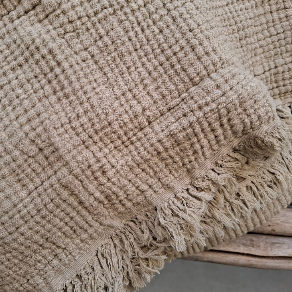 כרבולית טטרא חול