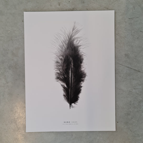 הדפס נוצה שחורה