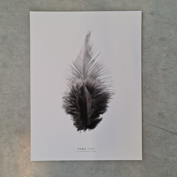 הדפס נוצת פלומה