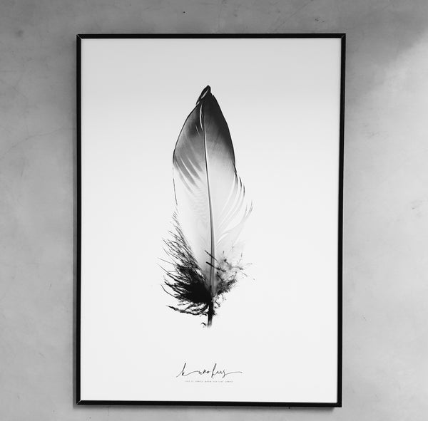 נוצה מסגרת אלומיניום