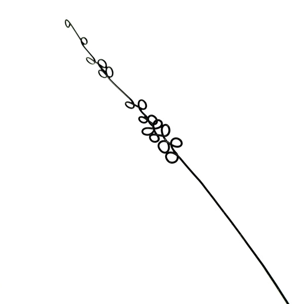 חצבים פורחים